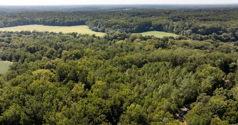 Bidding heats up for long-forgotten Forsyth County land on the Yadkin River