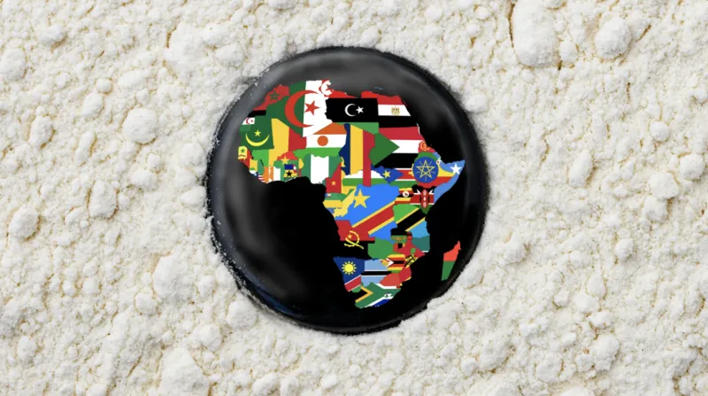 Campbell Law Observer publishes dean's article on African judicial clerkships
