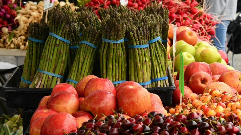 IR-4 Receives $10 Million USDA Award to Expand Specialty Crop Export Opportunities