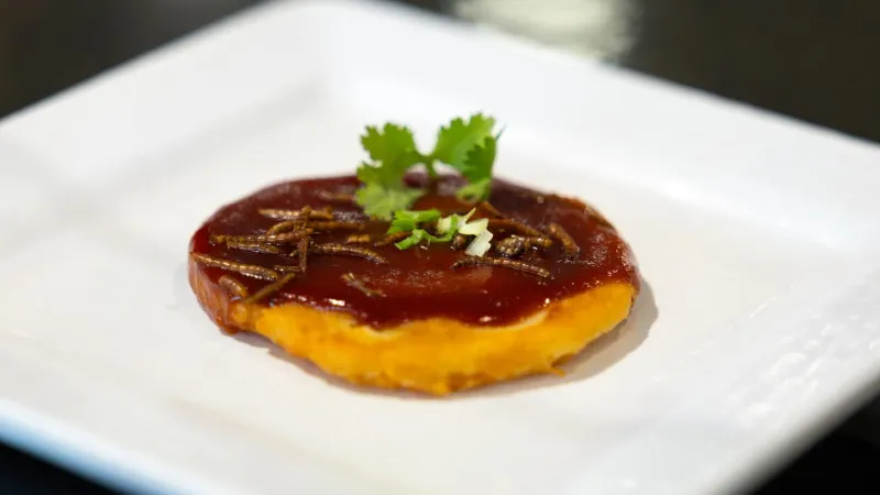 Bugs in the Food? Bon Apptit