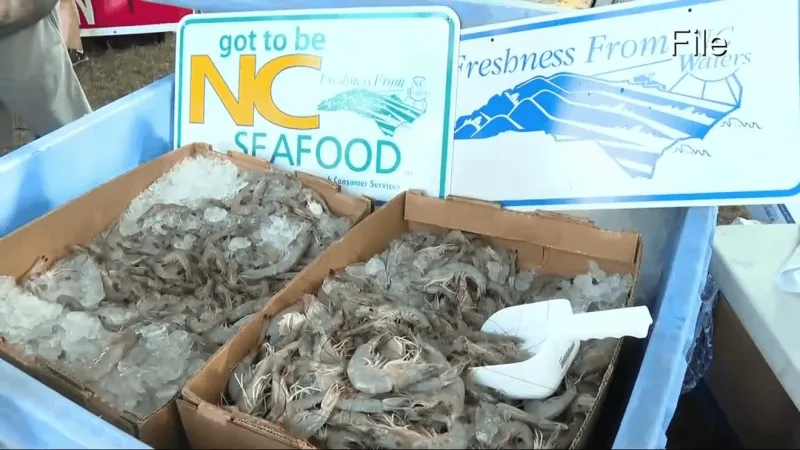 NC Seafood Festival cracks down on imported fish, offers cash back for local catch