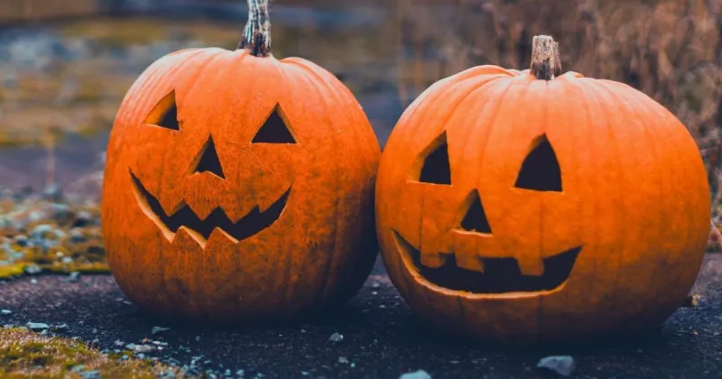 Need a costume for your little one? Greensboro's free costume store is open next week
