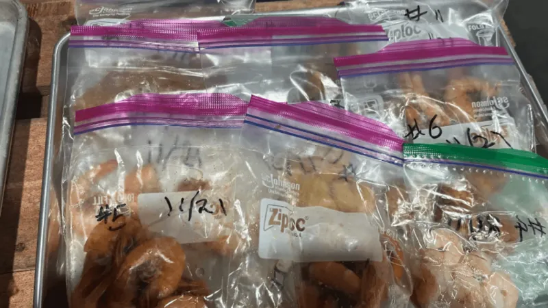SeaD Consulting tests 44 shrimp dishes at Crystal Coast eateries with genetic testing