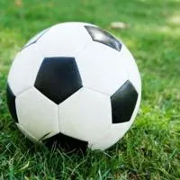 Boys soccer: Davie County remains undefeated