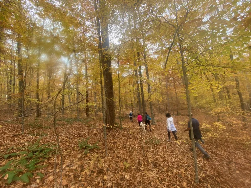 Your Fall Hiking Plan