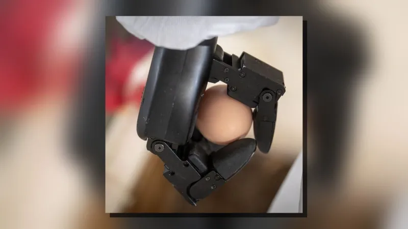 N.C. State's Howl robot aims to spot and collect eggs from poultry house floors