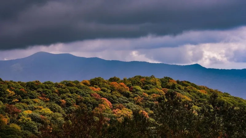 Warm weather in September delays peak fall color across western North Carolina