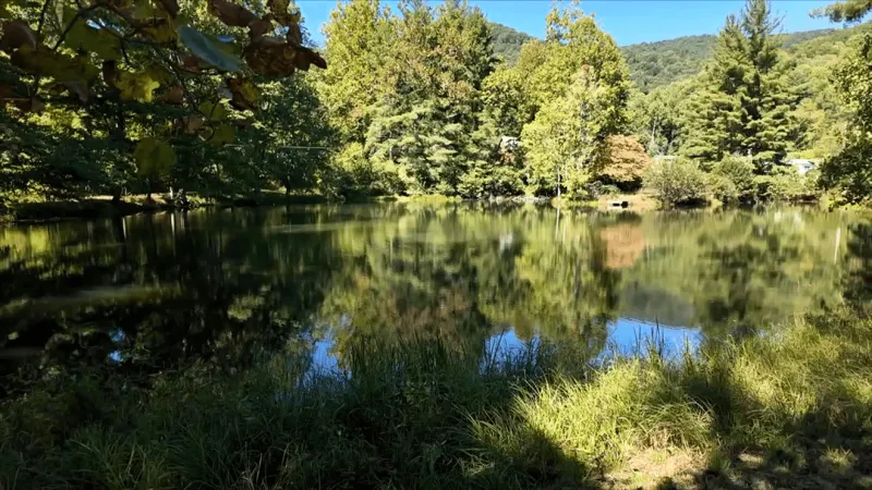 Ask 13: When will Pisgah View State Park open?
