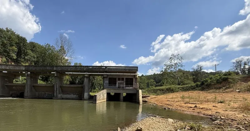 Hurricane Helene opened a path for native fish in WNC's Swannanoa River