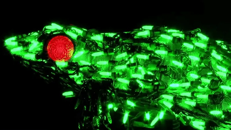 North Carolina Arboretum's Winter Lights tickets now on sale for 2026 season
