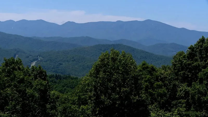 U.S. Forest Service spreading 20K pounds of seeds on 900 acres of Helene landslides