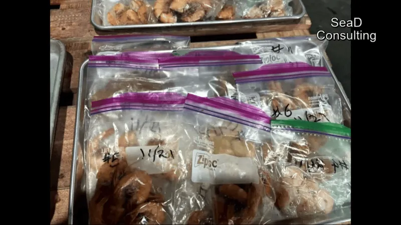 DNA tests find most Crystal Coast shrimp dishes are imported, raising calls for honesty