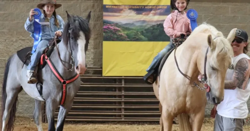 Hooves and Wheels: Horse show supports Meals on Wheels