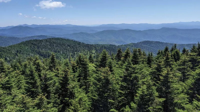 On the Trail in the Smokies