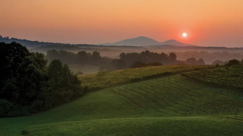 Savor Georgia's Wine Abundance