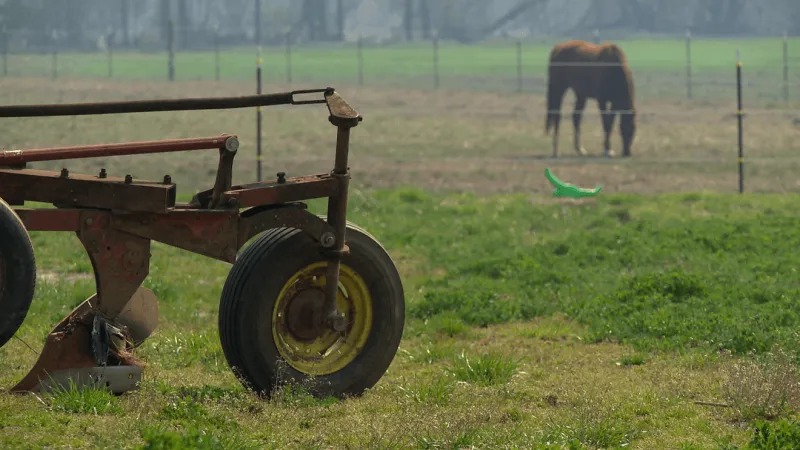 Farmland preservation grants awarded in western North Carolina
