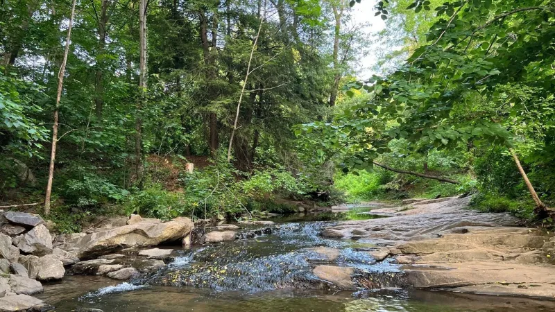 UNC Asheville, Asheville Botanical Garden extend partnership for several decades