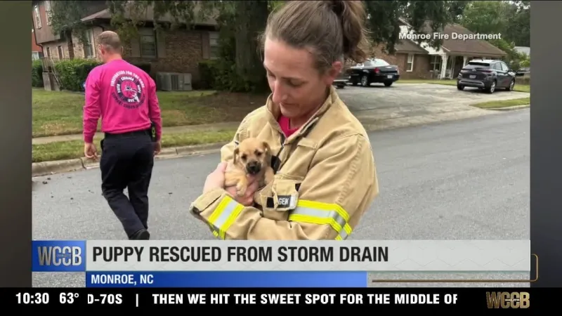 Monroe FD firefighters rescue puppy who fell eight feet into storm water drain