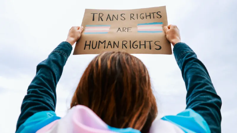 Qnotes Democracy: our right to exist is on the ballot