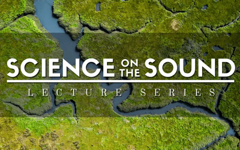 'Powering the oyster farm' topic of October science talk