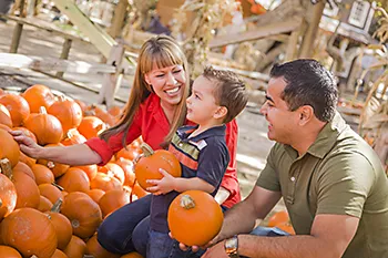 Have a "gourd" time at NC Fall Festival in Raeford