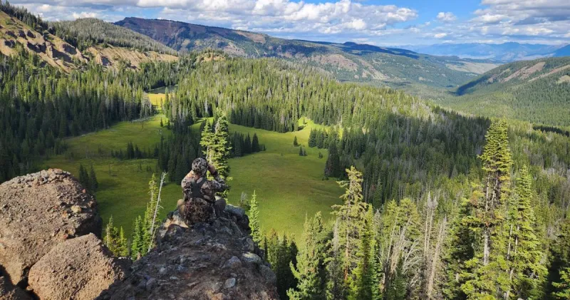99% oppose ending national forest rule. It may happen anyway