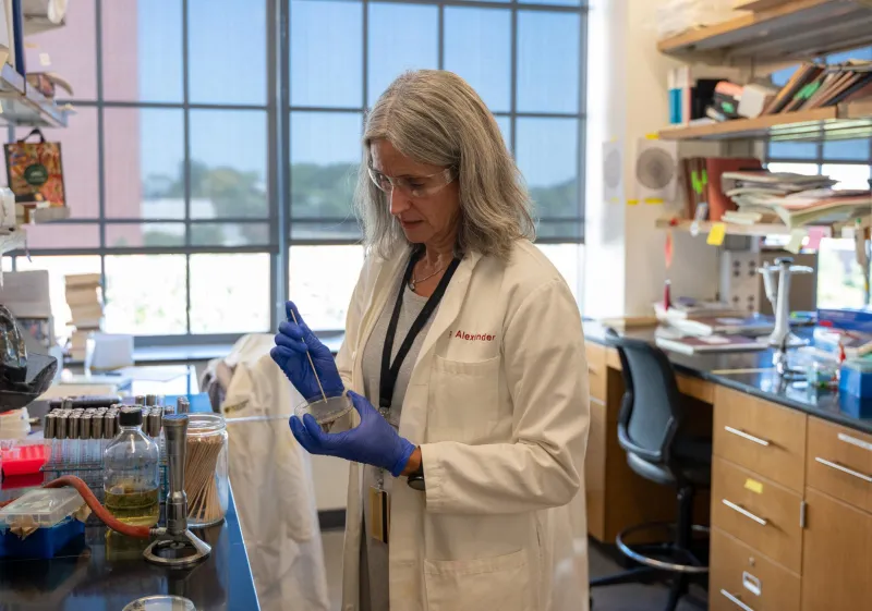Small genome, big enzyme