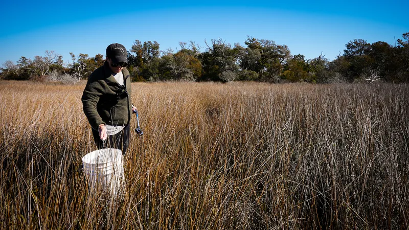 Coastal Federation plans cleanup at Hoop Pole Creek