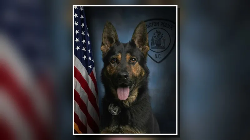 Misstep at full speed leaves police dog Kilo with broken leg during student demonstration