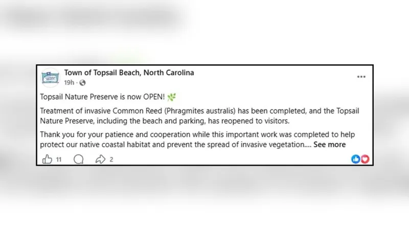 Topsail Nature Preserve reopens after invasive plant treatment, town says