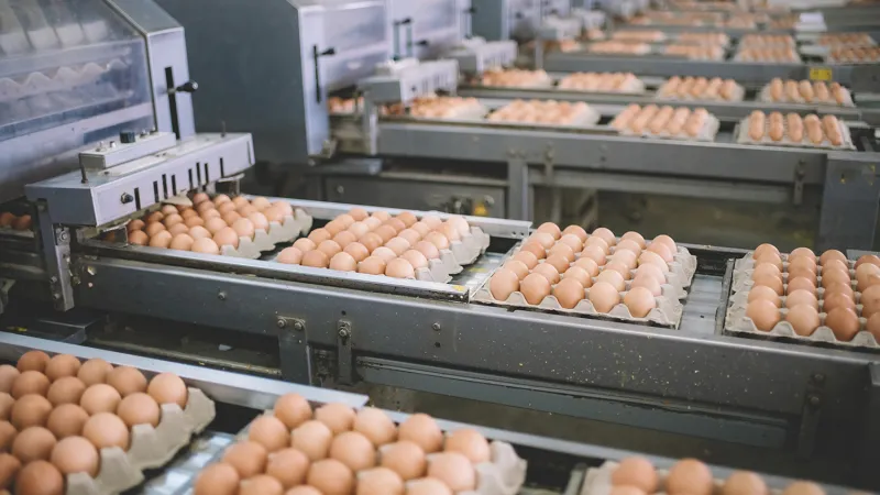 Building a Better NEST Program for the Nation's Egg Industry