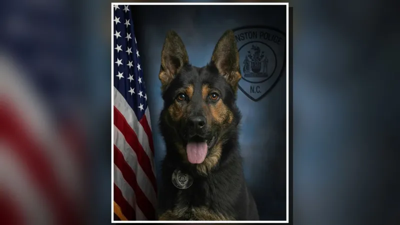 K-9 Kilo recovering after surgery; veterinarians find degenerative bone condition