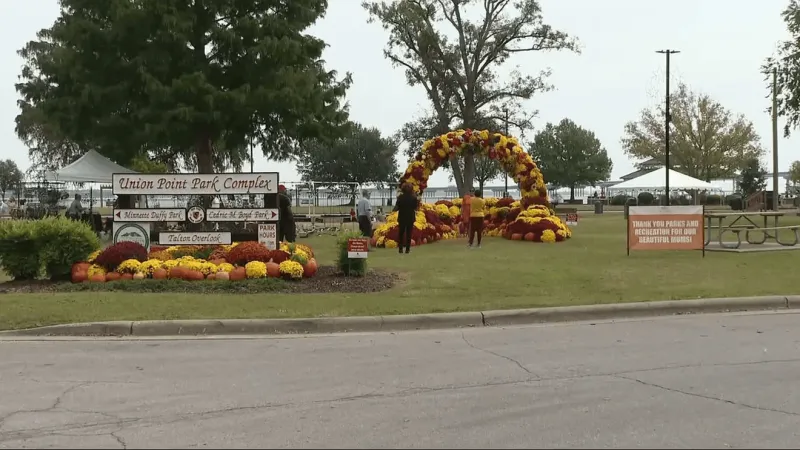 New Bern readies for MumFest weekend as downtown blooms with mums