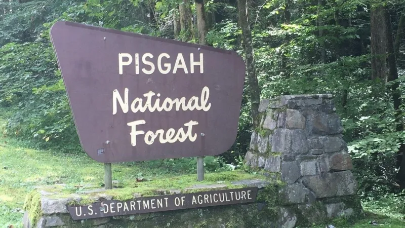 Pisgah National Forest sites close in preparation of Hurricane Isaias