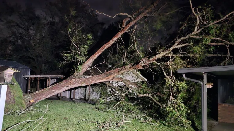 PHOTOS: Hurricane Isaias causes damage across Northwest Florida, Southwest Alabama