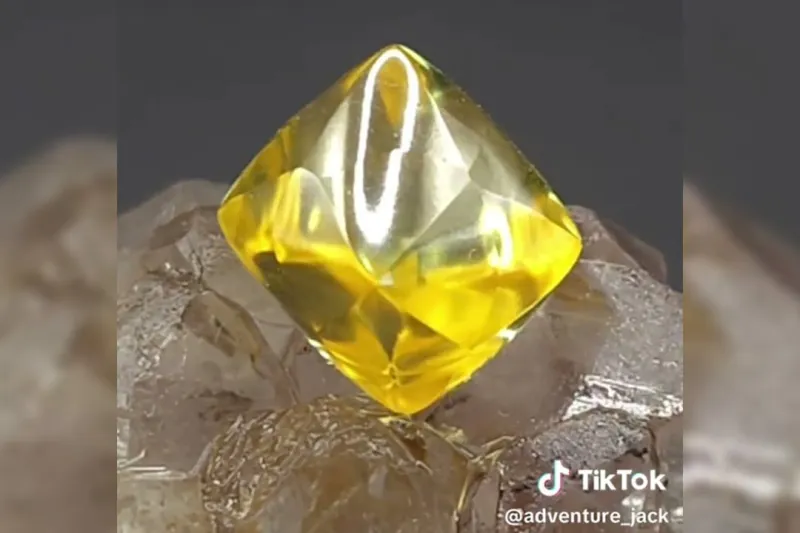 Arkansas gem hunter finds a diamond he claims could be worth $1 million