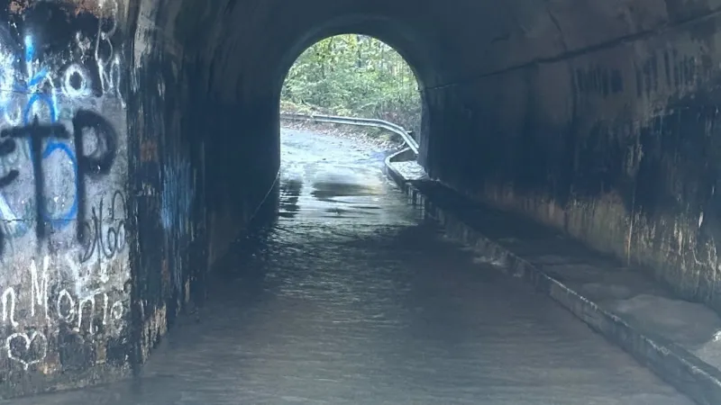 Picture Gallery: McDowell County images show Isaias' flooding, evacuations and landslides