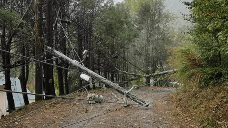 GALLERY: Viewer photos show weather impacts from remnants of Isaias