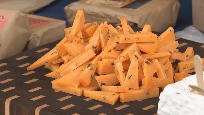 Rain couldn't spoil the 'gouda' times at Carolina Mountain Cheese Festival