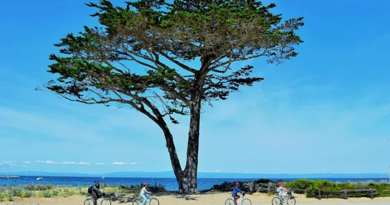 Family travel 5: Bike trips