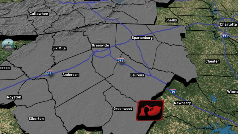 South Carolina man killed by fallen tree during Hurricane Isaias: coroner