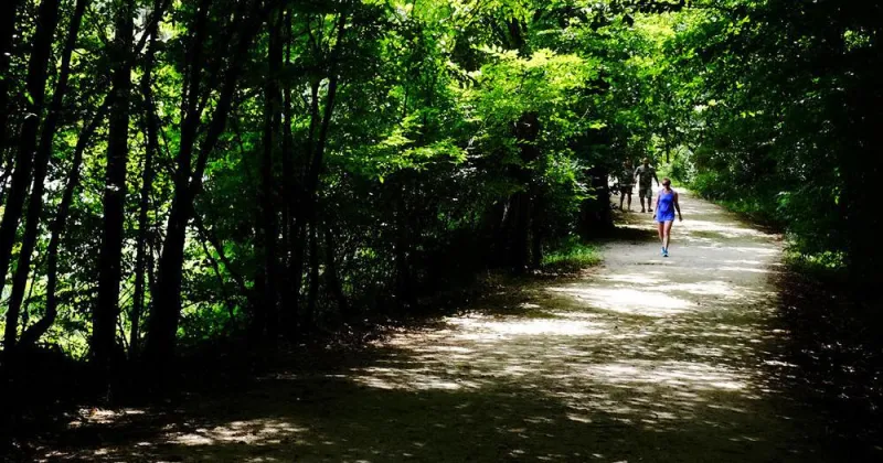 Man found hanged at Salem Lake Park wanted for child-sex crimes