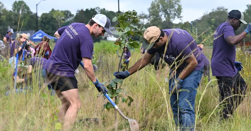 500 trees, 100 volunteers: Nonprofit, bank workers help finish Morganton's Bethel Park renewal