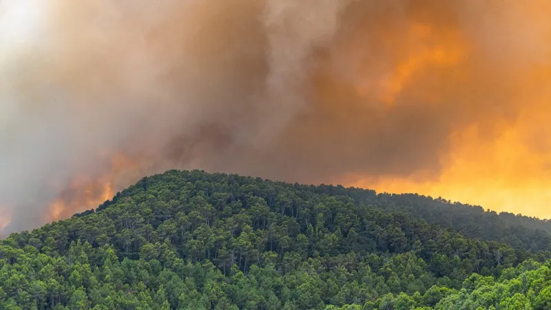 NC State Joins $1.7M Partnership To Address Growing Wildfire Threat to Eastern US