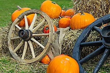 Small-town charm, big fall fun: Inside Eastover Fall Fest
