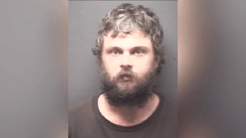 Greenville man faces felony, misdemeanor assault charges