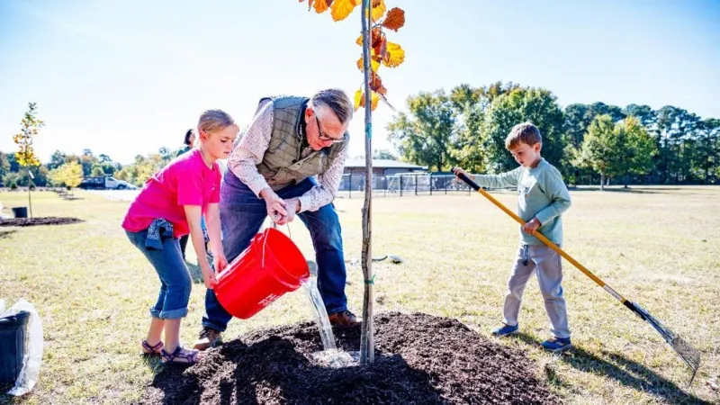 Greenville Community Tree Day set for Oct. 17 at Lake Firetower, starting 10 a.m.
