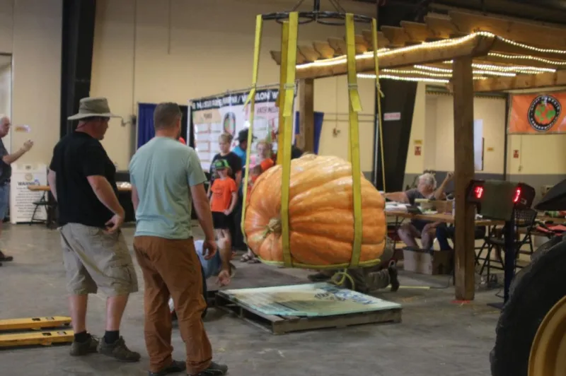 NC State Fair: Winners Announced In Giant Pumpkin And Watermelon Competitions