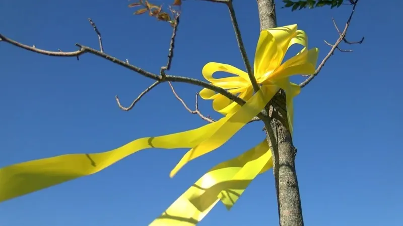 Yellow ribbons to mark 273 trees as Jacksonville honors 1983 Beirut bombing victims