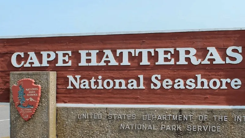 Cape Hatteras National Seashore begins treatments for Invasive Reed